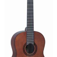 Large picture classical guitar LCG-17 M