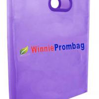 Large picture non woven bag