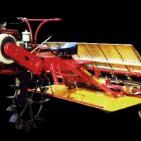 Large picture paddy rice planter