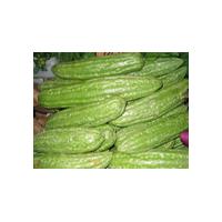Large picture balsam pear extract