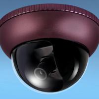 Large picture Vandal-Proof Dome Camera