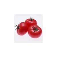 Large picture Tomato paste-Brix 28/30