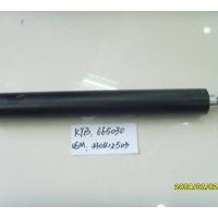 Large picture shock absorber