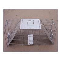 Large picture squirrel trap cage