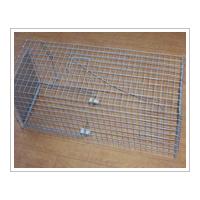 Large picture raccoon trap cage