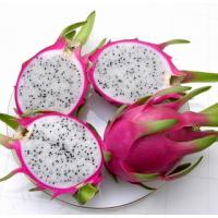 Large picture Dragon Fruit