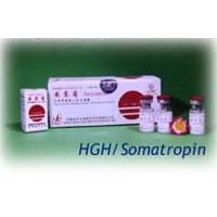 Large picture top HGH/Somatropin/Ansomone from Ankebio