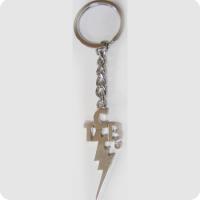 Large picture metal key chain