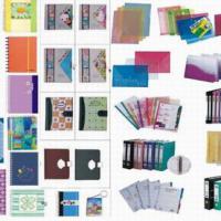 Large picture notebook, diary, file folder, stick note, memo
