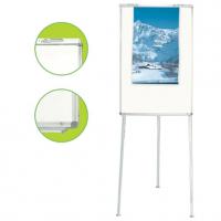 Large picture flip chart easel