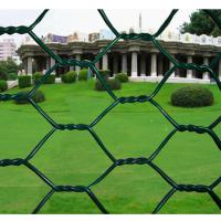 Large picture hexagonal wire mesh