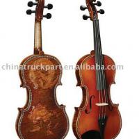 Large picture violin