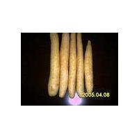 Large picture wild yam extract