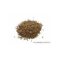 Large picture Cumin seeds