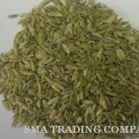 Large picture Fennel Seeds