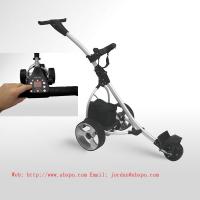 Large picture 601G Digital Amazing electrical golf cart