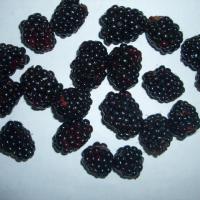 Large picture IQF blackberry