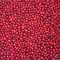 Large picture IQF lingonberry