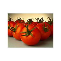 Large picture tomato paste-Brix 30/32