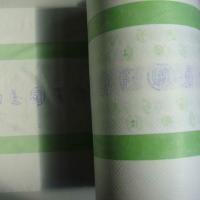 Large picture Lamination Breathable Film uses in back sheet of d
