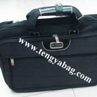 Large picture computer bag