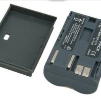Large picture digital camera battery