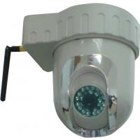 Large picture Wireless IP Camera with Pan / Tilt