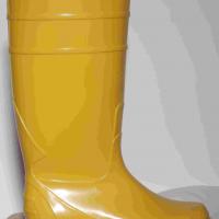Large picture rain boot