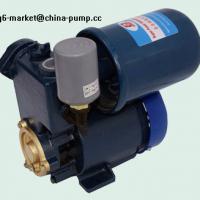 Large picture Automatic Pump