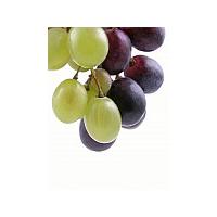 Large picture Concentrated Grape Juice