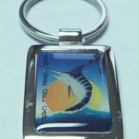 Large picture metal key chain