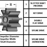 Large picture rubber impeller