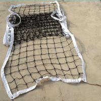 Large picture volleyball net