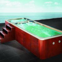 Large picture swim spa