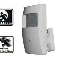 Large picture PIR Camera