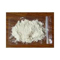 Large picture Dehydrated white onion powder