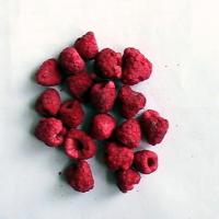 Large picture Freeze dried raspberry