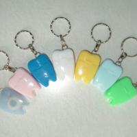 Large picture tooth shape dental floss with keychain