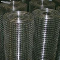 Large picture Galvanized welded Mesh