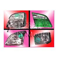 Large picture car light mould