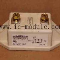 Large picture semikron igbt SKM111AR from www.ic-module.com