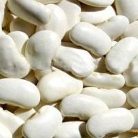 Large picture White Kidney Bean P.E.