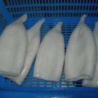 Large picture Seafood_IQF Todarodes Squid Tubes