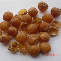 Large picture Himalayan Wild Soapnuts