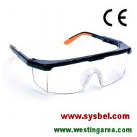 Large picture Safety Glasses
