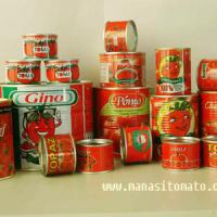 Large picture canned tomato paste