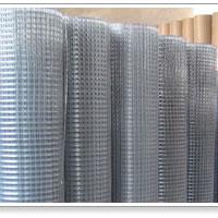 Large picture Welded Wire Mesh