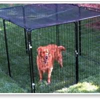 Large picture Pet Cages (offering OEM)