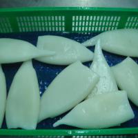 Large picture Seafood_Frozen Illex Squid Tubes