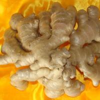 Large picture Air Dried Ginger, Fresh Ginger